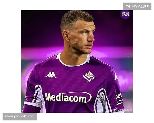 欧洲国家联赛波黑哲科头球攻门锁定胜局